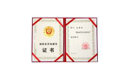 Hunan Provincal Model Worker Certificate
